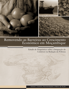 Removendo as Barreiras ao Crescimento Economico em Mocambique