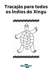 Tracajás para todos os Índios do Xingu