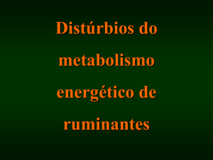 Distúrbios do metabolismo energético de ruminantes