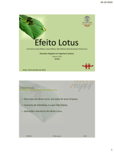Efeito Lotus