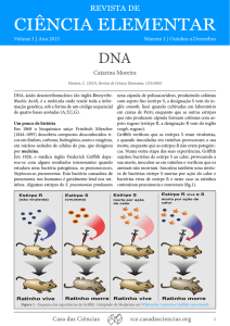 DNA - Faculdade de Ciências