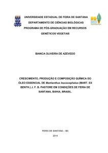 Dissertação Bianca Final - TEDE