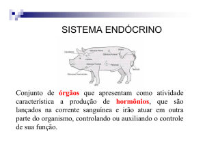10 Sistema Endocrino - Saudeeducacaoeoutrascoisas