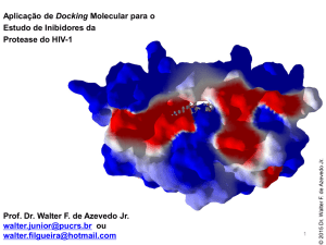 Aplicação de Docking Molecular para o Estudo de