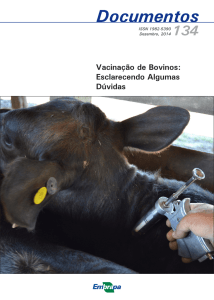 Vacinação de Bovinos: Esclarecendo Algumas Dúvidas - Infoteca-e