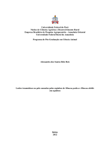 Universidade Federal do Pará Núcleo de Ciências Agrárias e