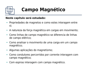 Campo Magnético