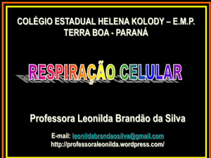 Respiração celular - Professora Leonilda