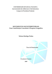 movimentos socioterritoriais no brasil