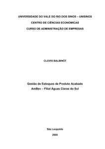 Gestão de Estoques de Produto Acabado AmBev – Filial