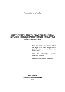 Desenvolvimento de novas formulações de vacinas utilizando o