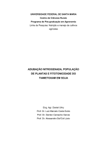 Adubação nitrogenada, população de plantas e