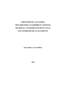 TESE_Crescimento, anatomia, metabolismo anaeróbico e