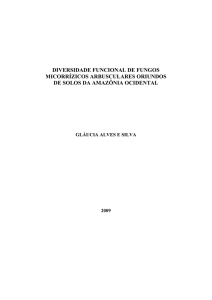 diversidade funcional de fungos micorrízicos arbusculares