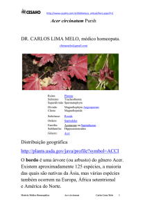 Acer circinatum Pursh em pdf, 8 páginas, 198 KB