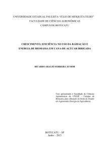 CRESCIMENTO, EFICIÊNCIA NO USO DA RADIAÇÃO E ENERGIA