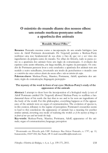 O mistério do mundo diante dos nossos olhos: um estudo merleau