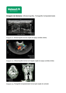 Imagem da Semana: Ultrassonografia, Tomografia - Unimed-BH