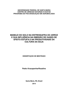 manejo do solo na entressafra do arroz e sua influência na