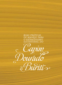 Capim Dourado - Instituto Sociedade, População e Natureza