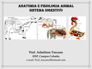 Anatomia e Fisiologia Animal Aula 9. Sistema Digestivo