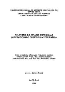 relatório do estágio curricular supervisionado em medicina