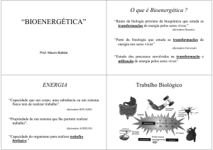 “BIOENERGÉTICA”