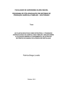 VERSÃO pós-banca 1106 - Universidade Federal de Pelotas