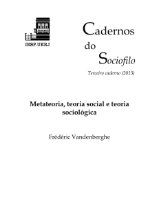 Metateoria, teoria social e teoria sociológica