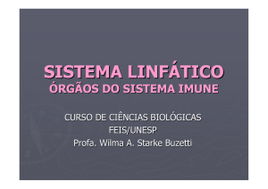 sistema linfático órgãos do sistema imune