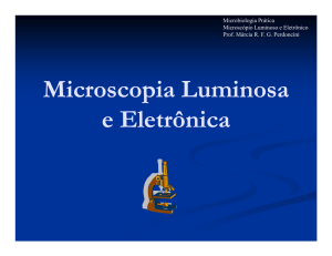 Microscopia Luminosa e Eletrônica