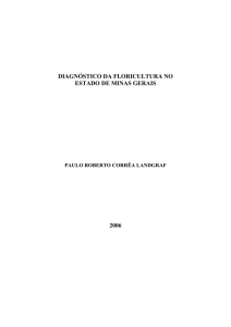 diagnóstico da floricultura no estado de minas gerais 2006