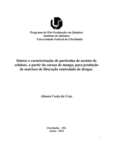 Síntese e caracterização de partículas de acetato de celulose, a