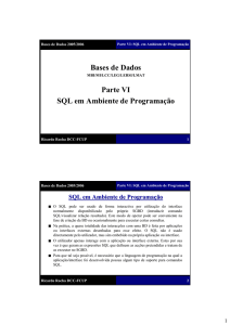 Bases de Dados Parte VI SQL em Ambiente de Programação