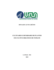 cultivares e densidades de plantio em cultivo orgânico de