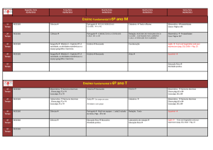 Ensino Fundamental II 6º ano M Ensino Fundamental II 6º ano T