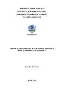 universidade federal de pelotas faculdade de agronomia