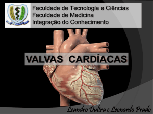 Anatomia das Valvas Cardíacas