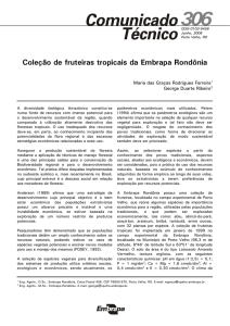 Coleção de fruteiras tropicais da Embrapa Rondônia 306