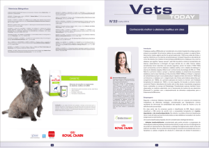 Informativo_VET