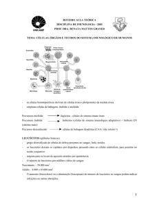 Bases celulares, histológicas e anatômicas da