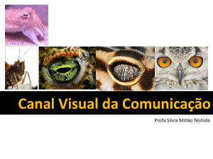 Canal Visual da Comunicação - IBB
