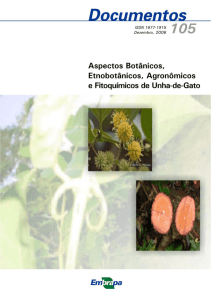 Aspectos botânicos, etnobotânicos, agronômicos e fitoquímicos de
