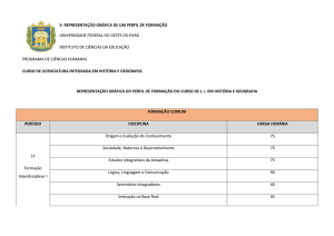 5- REPRESENTAÇÃO GRÁFICA DE UM PERFIL DE FORMAÇÃO