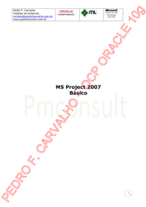 MS Project 2007 Básico