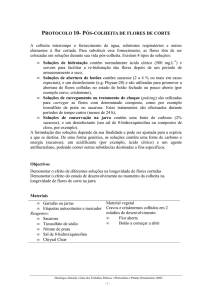 Protocolo 10 em pdf