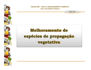 Melhoramento de espécies de propagação vegetativa - Esalq