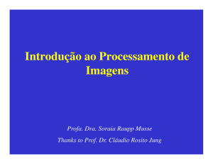 Introdução ao Processamento de Imagens