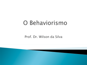 punição - Prof. Dr. Wilson da Silva