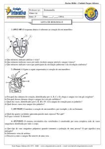 (PUC-SP) O esquema abaixo é referente ao coração de um mamífero
